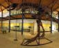 panorama 360° sferico spherical - Carbonia Museo PAS Martel, 4, T-Rex di lato