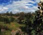 panorama 360° sferico spherical - S.Giov.Suergiu Nuraghe Candelargiuo Palaingiai