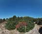 panorama 360° sferico spherical - Sant'Antioco Nuraghe Feminedda