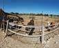 panorama 360° sferico spherical - Villarios Asini, pony, tacchini, capretta