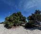 panorama 360° sferico spherical - S.Anna Arresi Porto Pinoginepri spiaggia