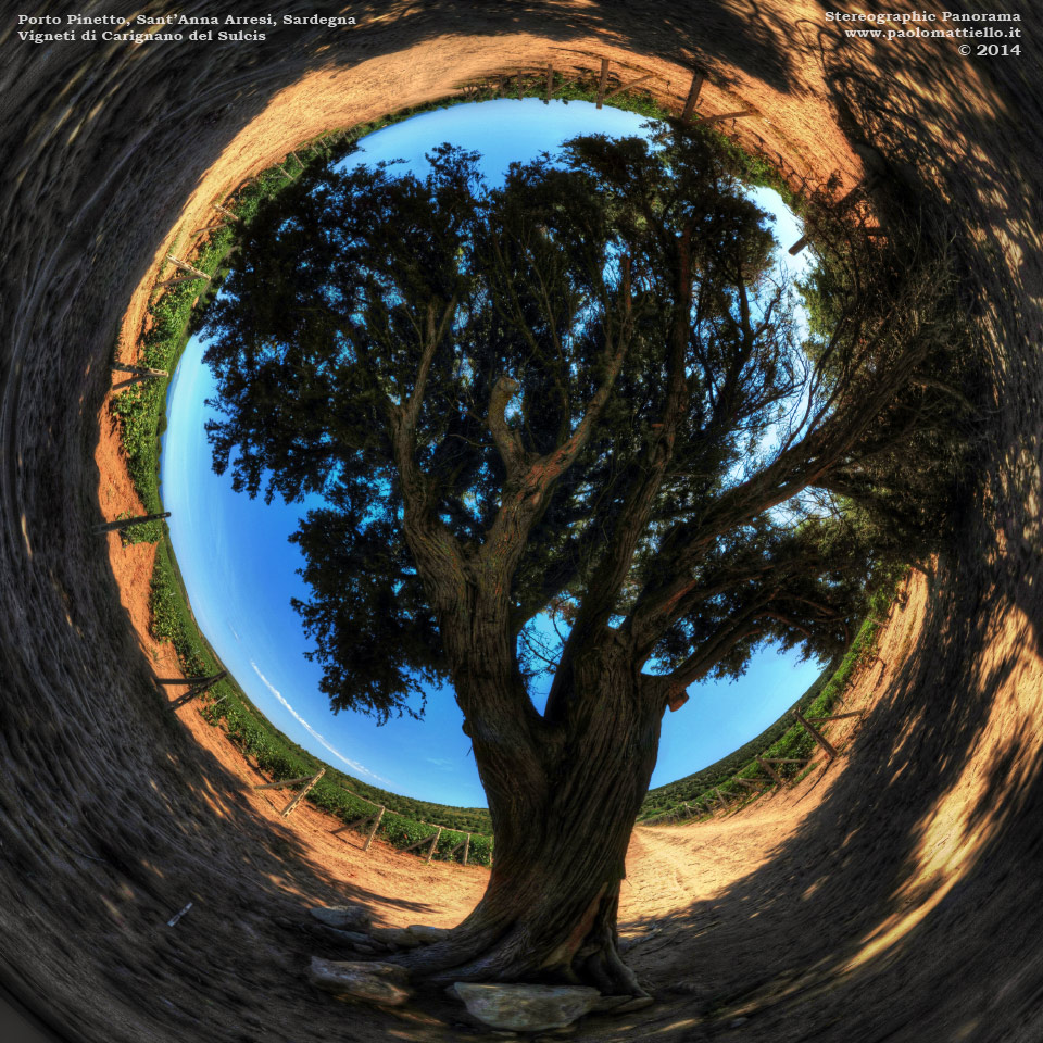 panorama stereografico stereographic - stereographic panorama - Sardegna→Sant'Anna Arresi→ tra P.Pinetto e C. Su Turcu | Vigneti di Carignano del Sulcis, 14.08.2014