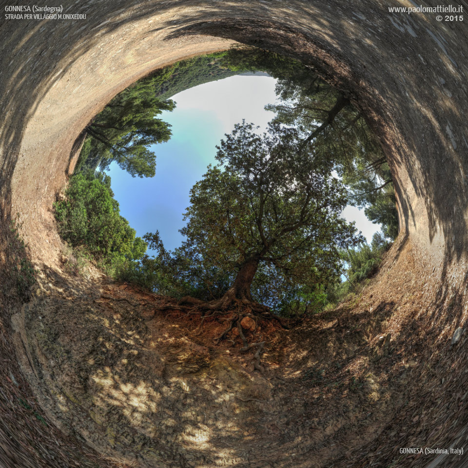 panorama stereografico stereographic - stereographic panorama - Sardegna→Gonnesa | Strada per il villaggio minerario M.Onixeddu, leccio, 21.06.2015