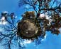 panorama stereografico stereographic - Carbonia Bosco di querce bruciato il 3.7.14