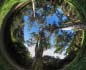 panorama stereografico stereographic - Gonnesa Ex miniera di Monte Onixeddu, grandi eucalipti