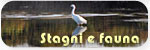 Stagni, flora e fauna