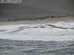 LNI Sulcis - 07.09.2011 - Seconda spiaggia
