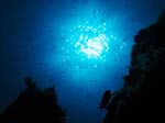 LNI Sulcis - Agosto 2013 - 2013 - Cala Galera, castagnole (Chromis chromis) controluce