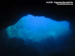 LNI Sulcis - 2015 - Grotta subacquea nell'isola La Vacca: uscita vista da dentro