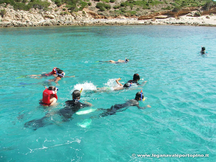 Alla scoperta dei fondali di Porto Pino