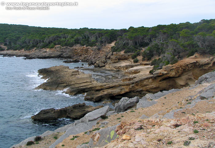 Porto Pino - Costa bassa della zona 