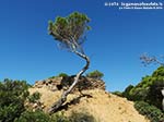 Porto Pino - Agosto 2014,batteria amm. Candiani di Punta Menga