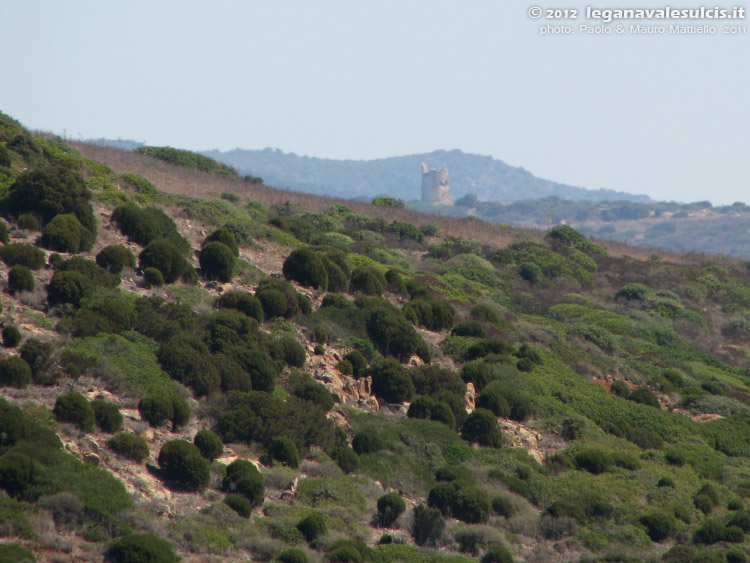 Capo Teulada - 2011, la torre di C.Zafferano vista da C.Aligusta