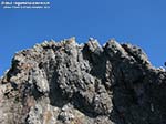 Capo Teulada - 2011, Capo Teulada