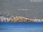 Capo Teulada - 2011, isolotto davanti a Punta d'Aligusta