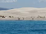 Porto Pino - Dune - Agosto 2014