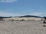 Porto Pino - Dune - Agosto 2014