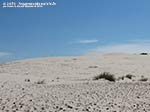 Porto Pino - Dune - Agosto 2014