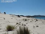 Porto Pino - Dune - Agosto 2014