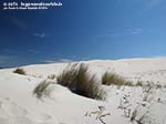 Porto Pino - Dune - Agosto 2014