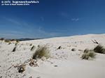 Porto Pino - Dune - Agosto 2014