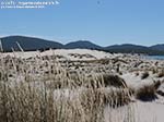 Porto Pino - Dune - Agosto 2014