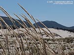 Porto Pino - Dune - Agosto 2014