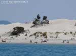 Porto Pino - Dune - Luglio 2016