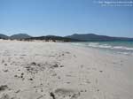 Porto Pino - Dune - 2008, fine della spiaggia, davanti alle dune