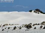 Porto Pino - Dune - 2009, agosto