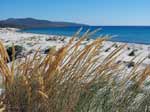 Porto Pino - Dune - 2003, sparto