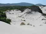 Porto Pino - Dune - La parte retrostante delle dune