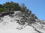 Porto Pino - Dune - Ginepri