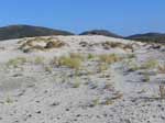 Porto Pino - Dune - Pomeriggio di maestrale, 2005