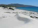 Porto Pino - Dune - Verso la costa di Cala Piombo