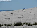 Porto Pino - Dune - 2010