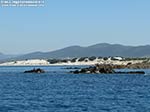 Porto Pino - Dune - 2010