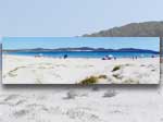 Porto Pino - Spiagge - 2006, giugno: panorama 180&deg;