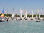 Porto Pino - Sport - 2004, regata Summer Cup per HobieCat