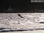 Porto Pino - Sport - 2009, autunno, kite surf