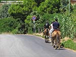 Porto Pino - Sport - Passeggiate a cavallo guidate a Porto Pino
