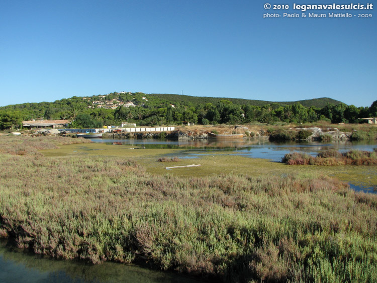 Porto Pino - Stagni - 2009, canali della peschiera. Ovunque regna la salicornia, pianta che prospera nell'acqua salata