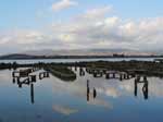 Porto Pino - Stagni - Strutture abbandonate della peschiera, tra la prima e seconda spiaggia
