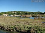 Porto Pino - Stagni - 2009, canali della peschiera. Ovunque regna la salicornia, pianta che prospera nell'acqua salata