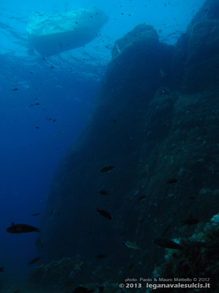 Porto Pino foto subacquee - 2012 - Parete a strapiombo di Capo Teulada