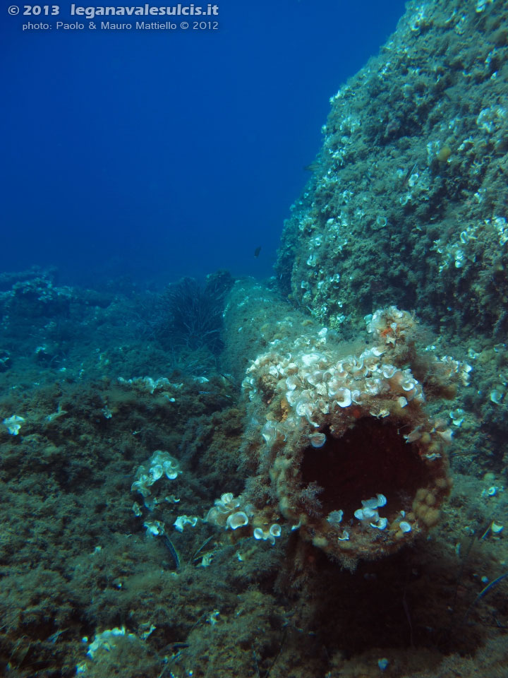 Porto Pino foto subacquee - 2012 - Relitto della punta di Cala Piombo