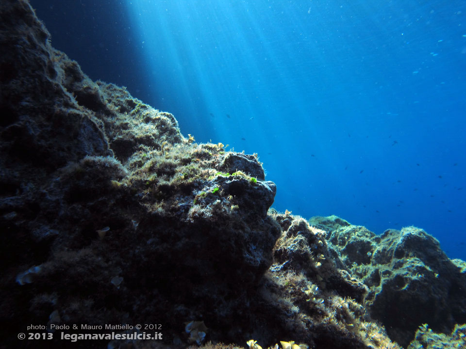 Porto Pino foto subacquee - 2012 - Trasparenze nei primi 10 metri