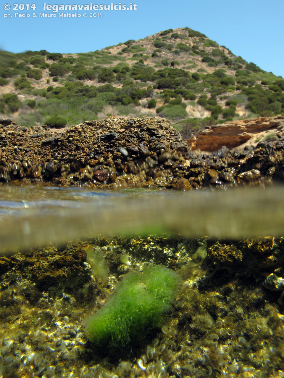 Porto Pino foto subacquee - 2014 - Cala Aligusta