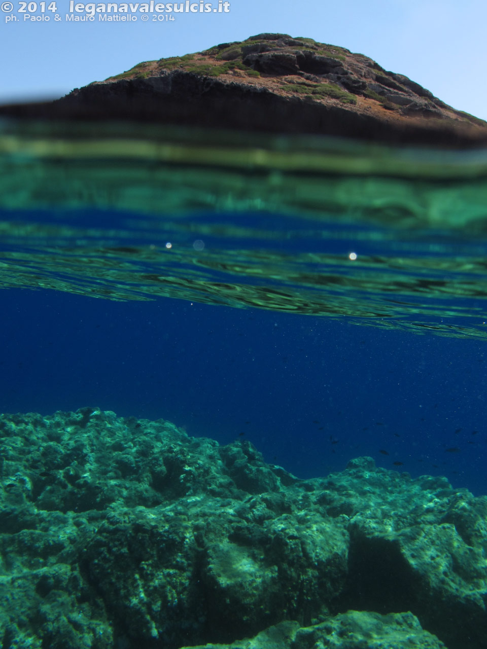 Porto Pino foto subacquee - 2014 - Isola La Vacca, secca