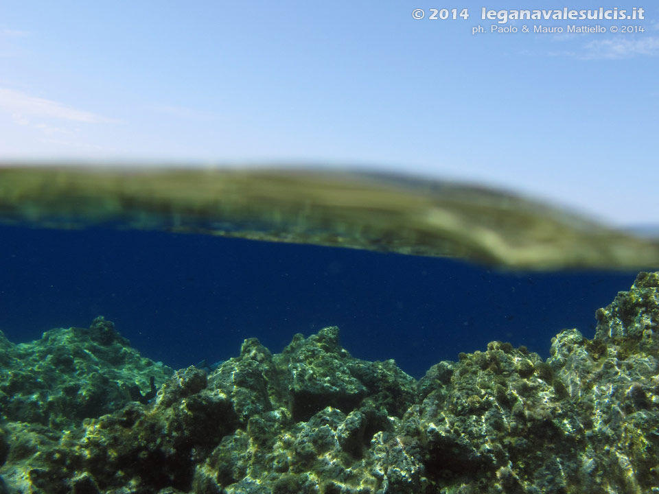 Porto Pino foto subacquee - 2014 - Mezz'acqua all'isola La Vacca